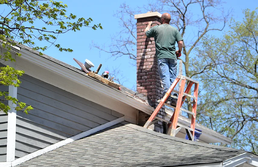 Chimney & Fireplace Inspections Services in Morrisville, NC